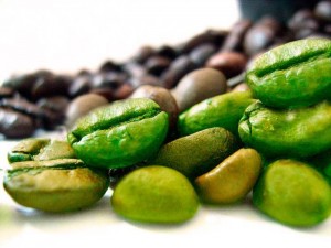 acido clorogenico cafe verde