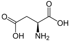 acido d-aspartico y l-aspartico