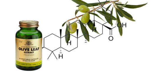 Propiedades y beneficios del acido oleanolico