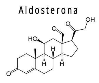 aldosterona hormona estructura quimica