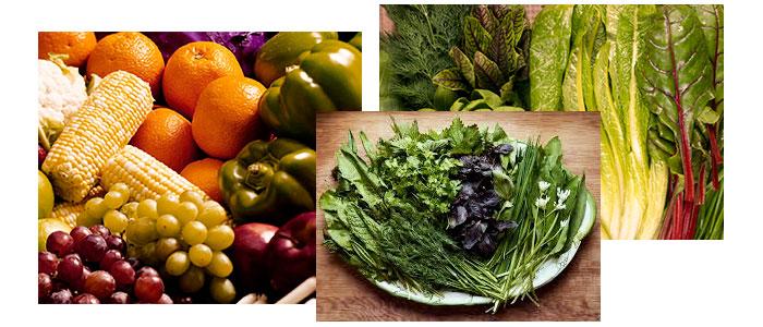 alimentos antiestreñimiento