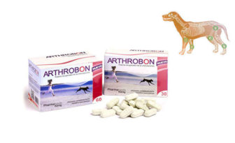 arthrobon 60 comprimidos