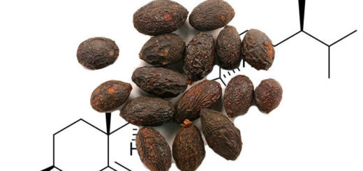beta sitosterol propiedades