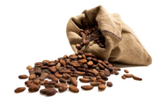 cacao propiedades y beneficios