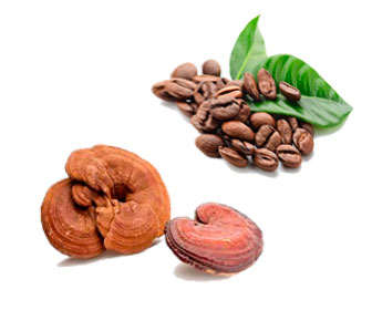 cafe con ganoderma