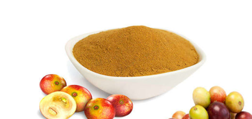 camu-camu beneficios para la salud