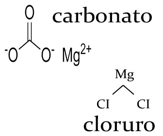 Carbonato de magnesio vs cloruro de magnesio ¿qué es mejor?