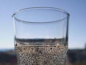 chia con agua