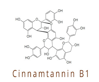 Propiedades y beneficios de cinnamtannin B1 de la canela en rama