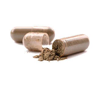 composicion capsulas ganoderma