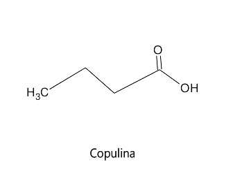 copulina esctructura quimica