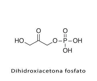 dihidroxiacetona fosfato estructura