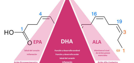 relación entre epa, dha y omega 3