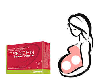 fisiogen ferro forte durante el embarazo