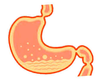 Síntomas de flatulencia o gases intestinales