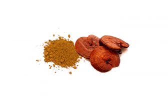 propiedades de ganoderma lucidum