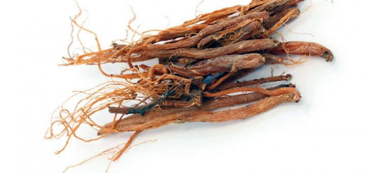 ginseng rojo coreano