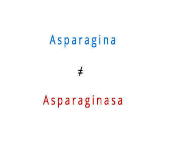 Diferencias entre L asparagina y L asparaginasa