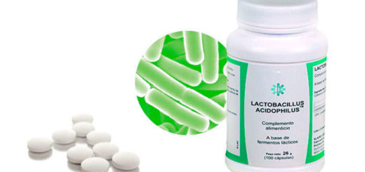 lactobacillus acidophilus propiedades y beneficios