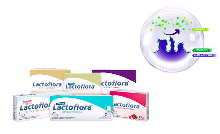lactoflora probioticos