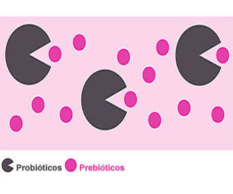 probioticos y prebioticos