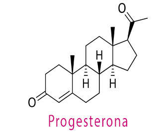 progesterona estructura química