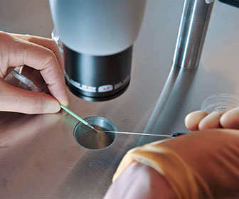 Pruebas de fertilidad masculina