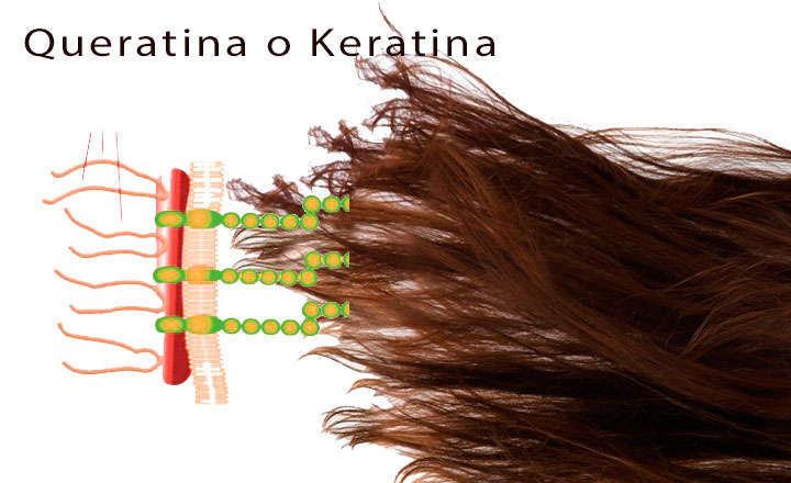 Queratina en el pelo y las uñas, qué es, para qué sirve y cómo usar el