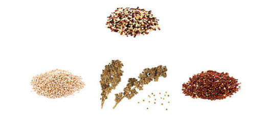 Propiedades y beneficios de quinoa