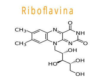 riboflavina estructura química y propiedades para la salud 