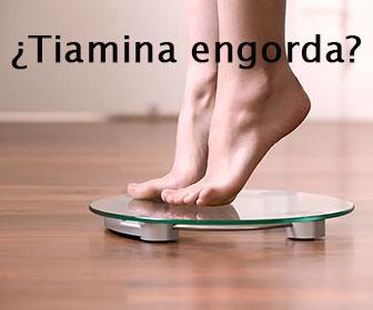 la tiamina engorda 