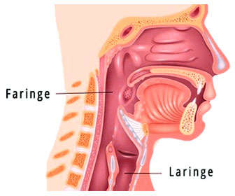 tratamiento para la garganta con faringitis o laringitis